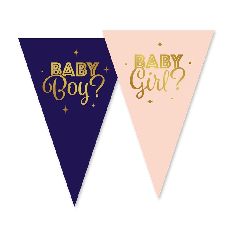 Product Image for Gender Reveal Flaggirlang 10 meter
