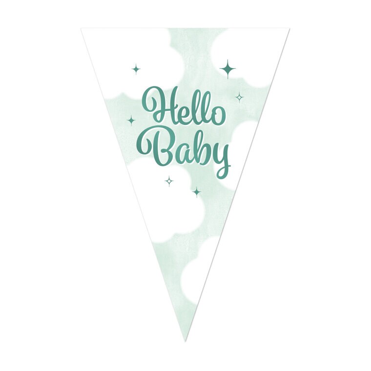 Product Image for Hello Baby Flaggirlang 10 meter