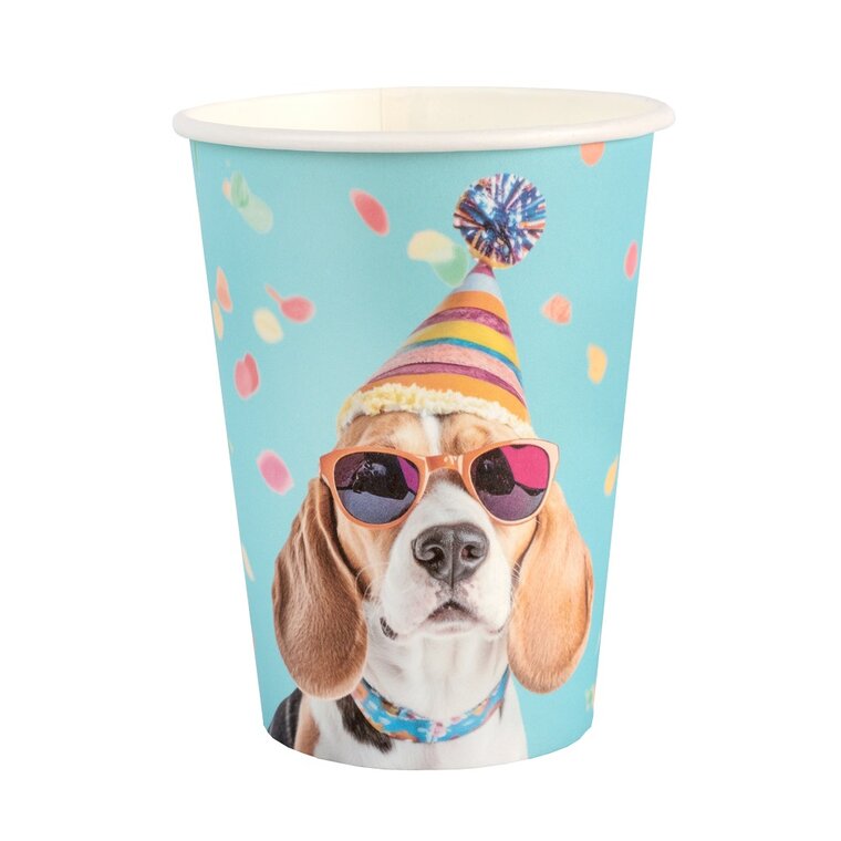 Product Image for Party Dog Papkrus 6 stk