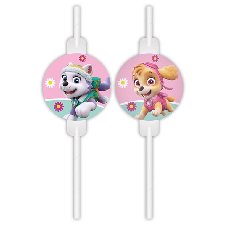 Product Image for Paw Patrol Skye - Papsugerør 4 stk