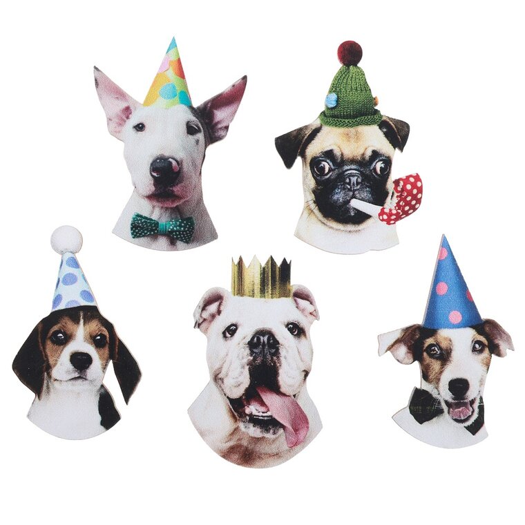 Product Image for Party Dog Konfetti 25 stk