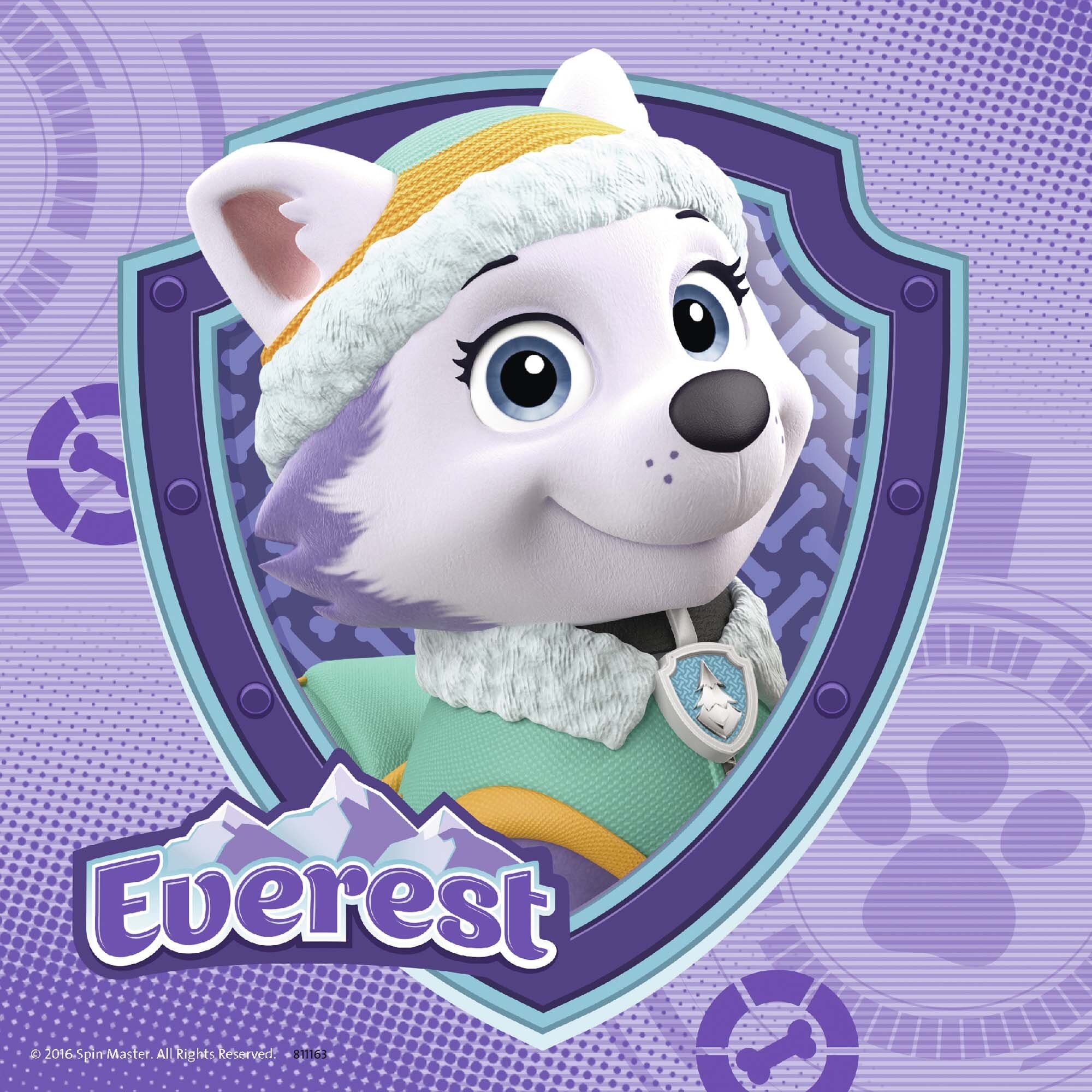 Ravensburger Puslespil, Paw Patrol - Skye & Everest 3x49 brikker