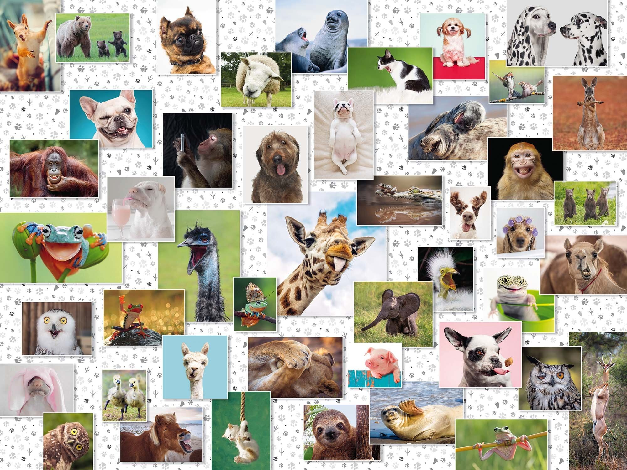 Ravensburger Puslespil, Funny Animals Collage 1500 brikker