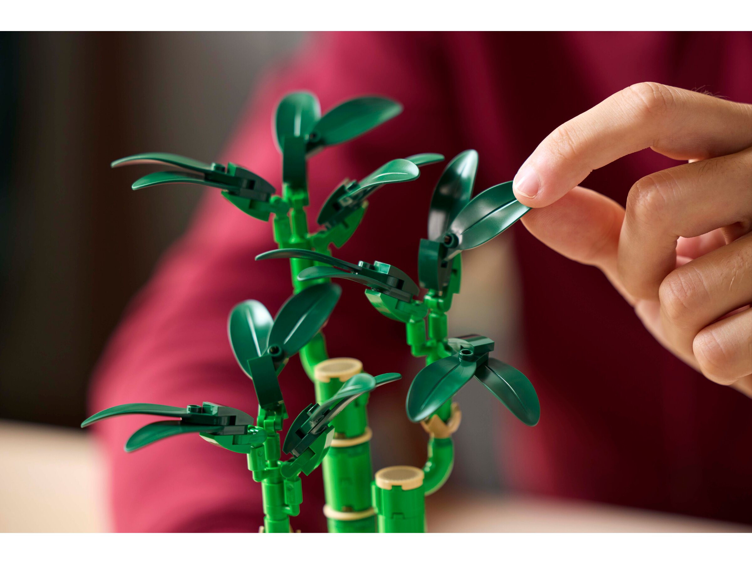 LEGO Botanical - Lykkebambus 18+