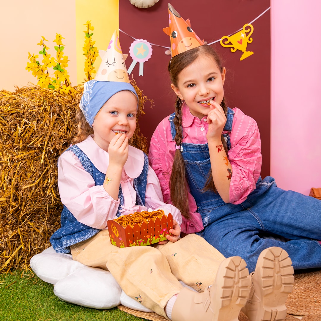 Heste - Snackbokse 3 stk