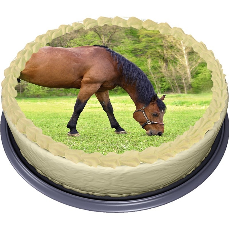 Hest - Sukkerprint 20 cm