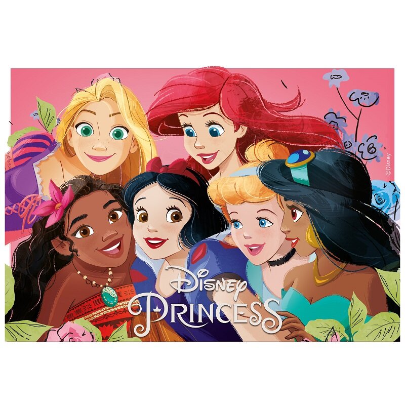 Kageprint Disney Prinsesser - Fondant 15 x 21 cm