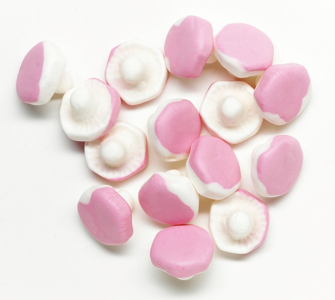 Skumkantareller Storpakke 938 gram