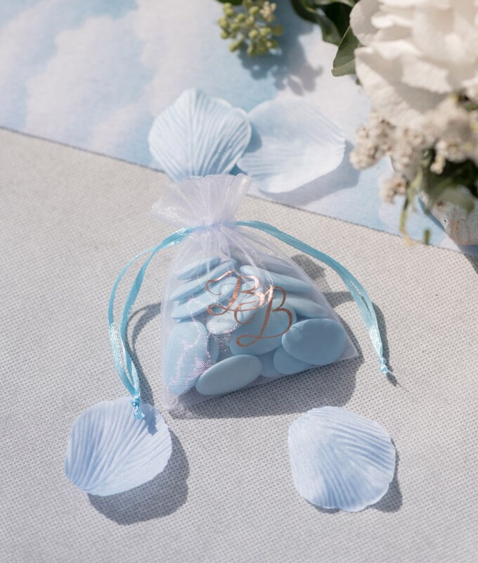 Baby Boy - Organzaposer 6-pack