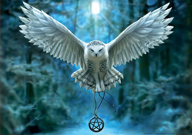 Educa Puslespil, Awake Your Magic 500 brikker