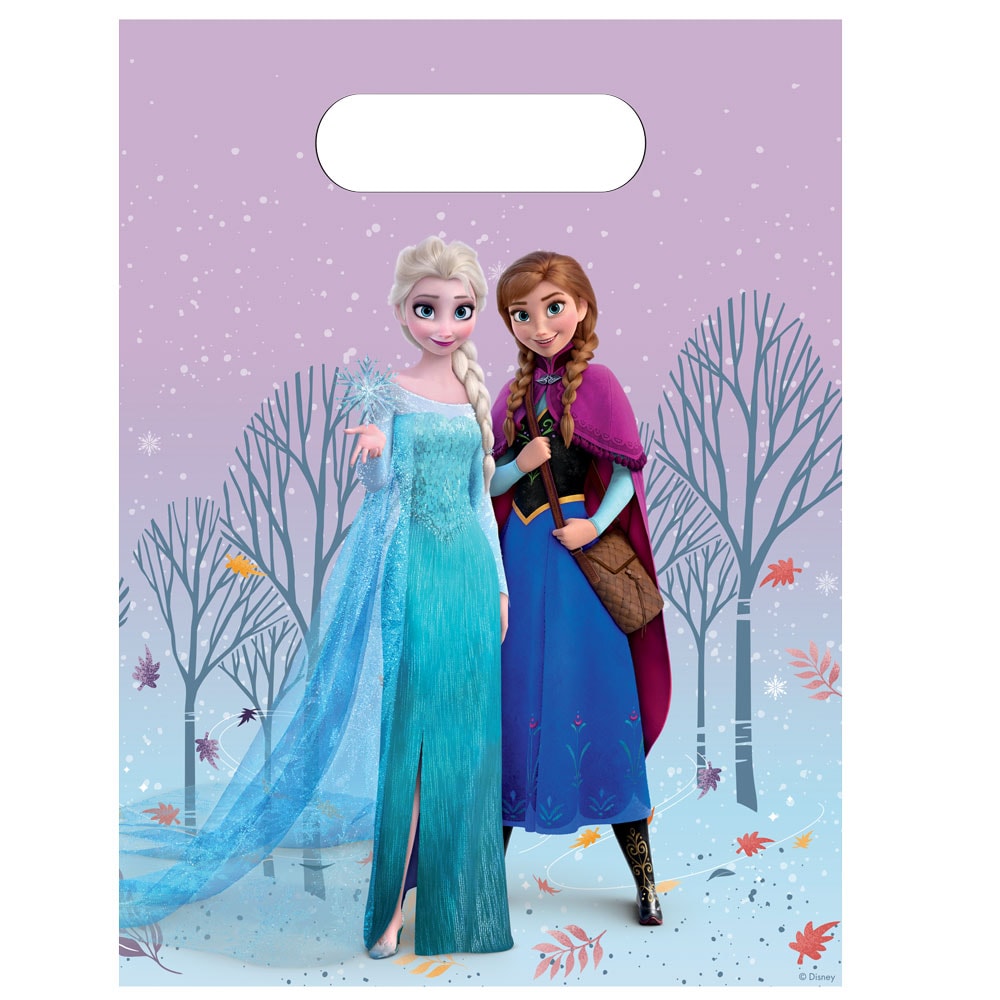 Disney Frost Slikposer 6 stk