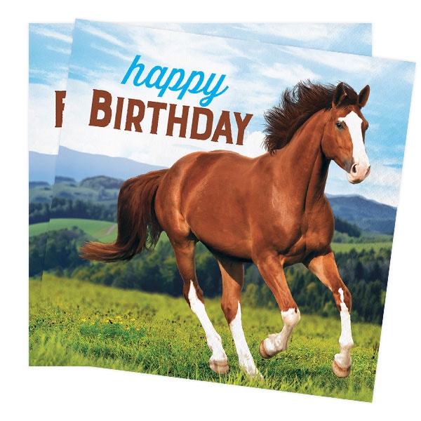 Horse and Pony - Servietter Happy Birthday 16 stk