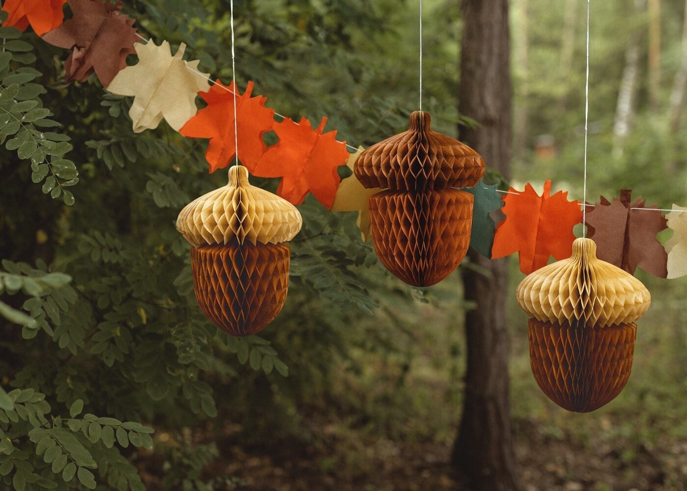 Egernæg Honeycombdekorationer 2 stk