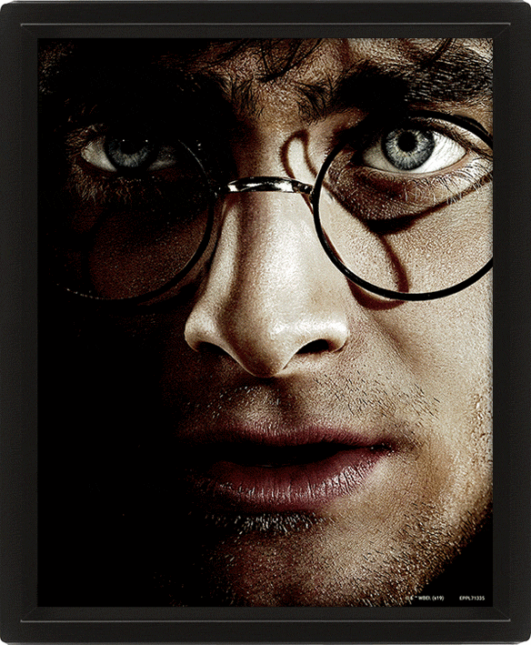 Harry Potter - 3D Kanvas-tavle Harry vs Voldemort