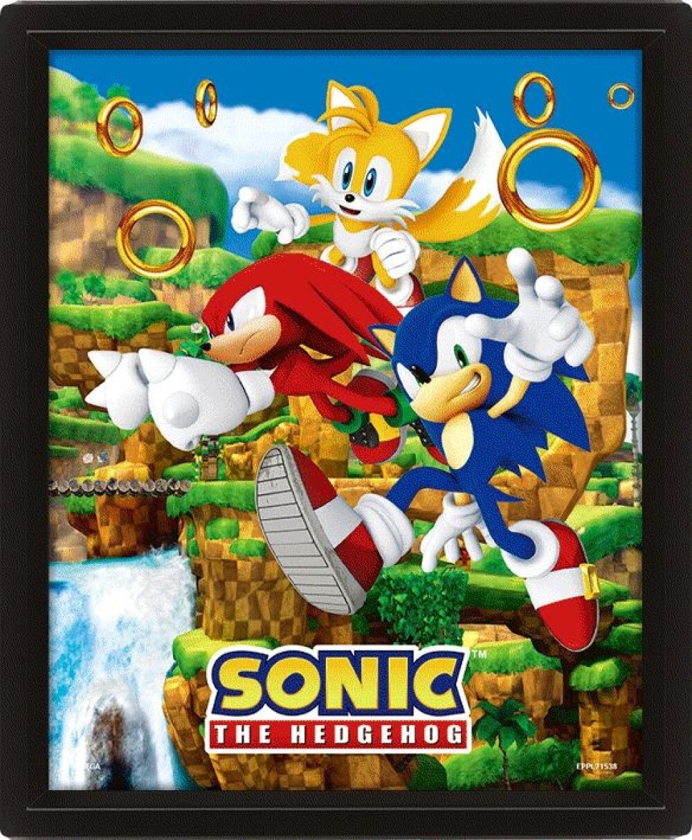 Sonic the Hedgehog - 3D Kanvas-tavle