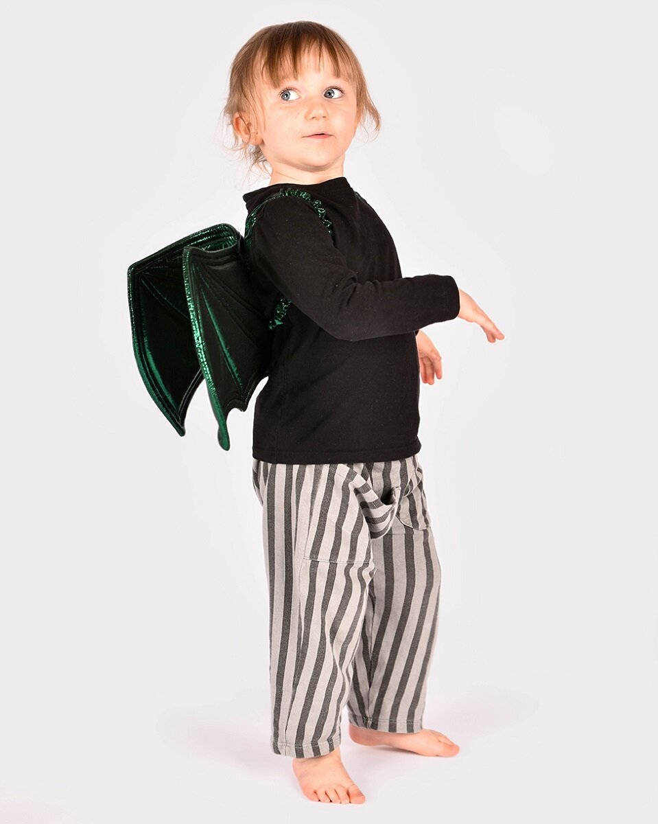 Grønne Dragevinger Børnestørrelse 30 cm