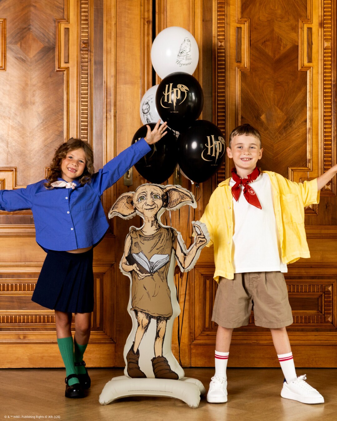 Harry Potter Dobby Folieballon 105 cm