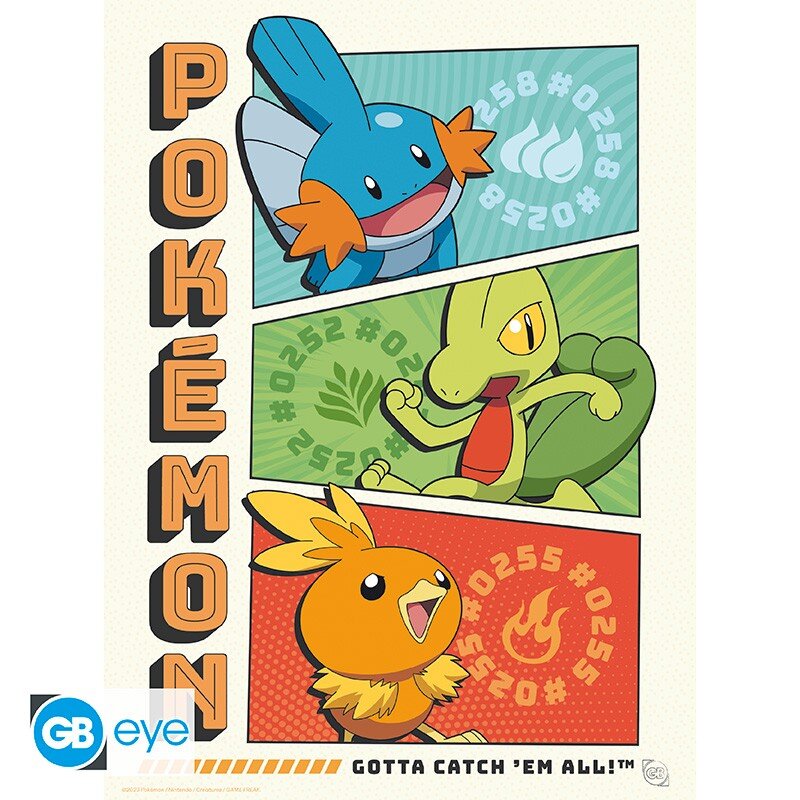 Pokémon - A4 Plakat i 9-pak