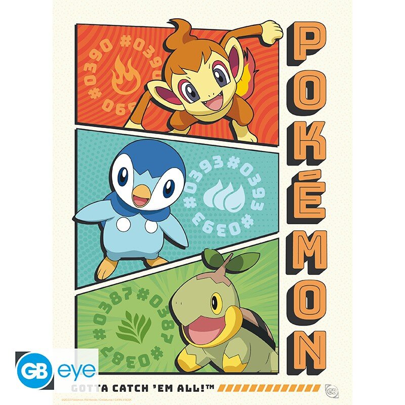 Pokémon - A4 Plakat i 9-pak