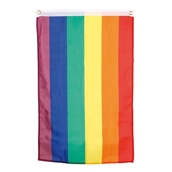 Pride Flag 90 x 150 cm