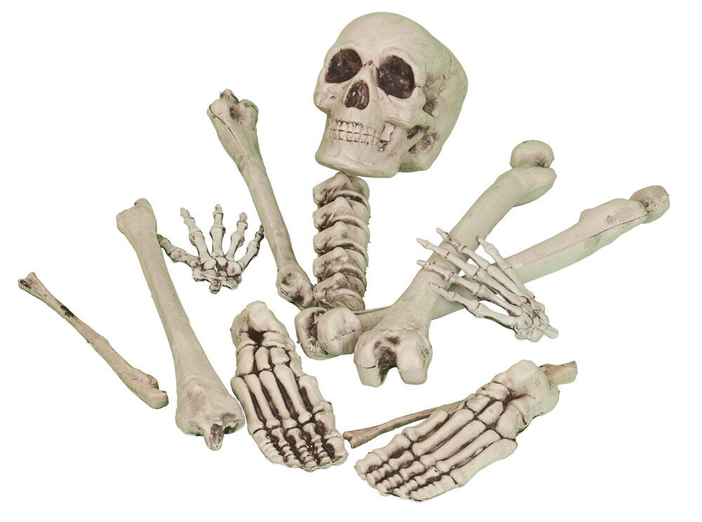 Dødningehoved med knoglestykker