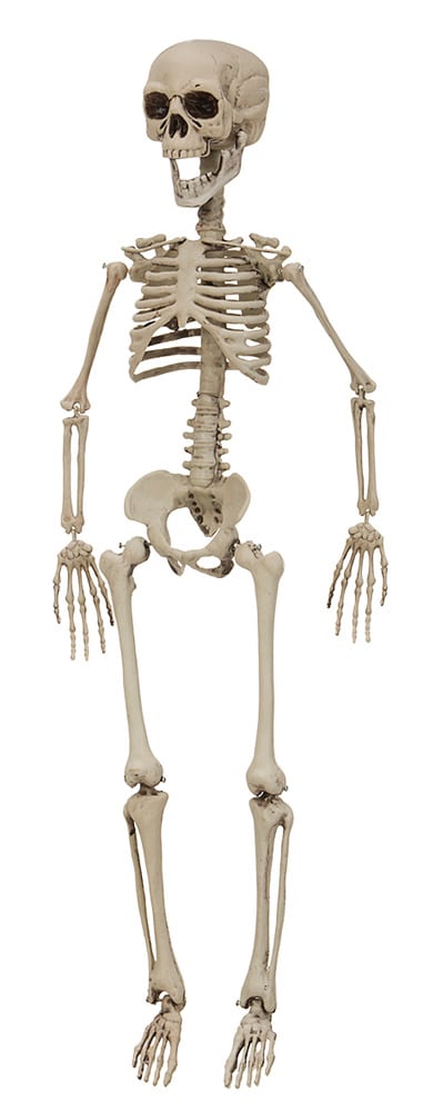 Hængende skelet 90 cm