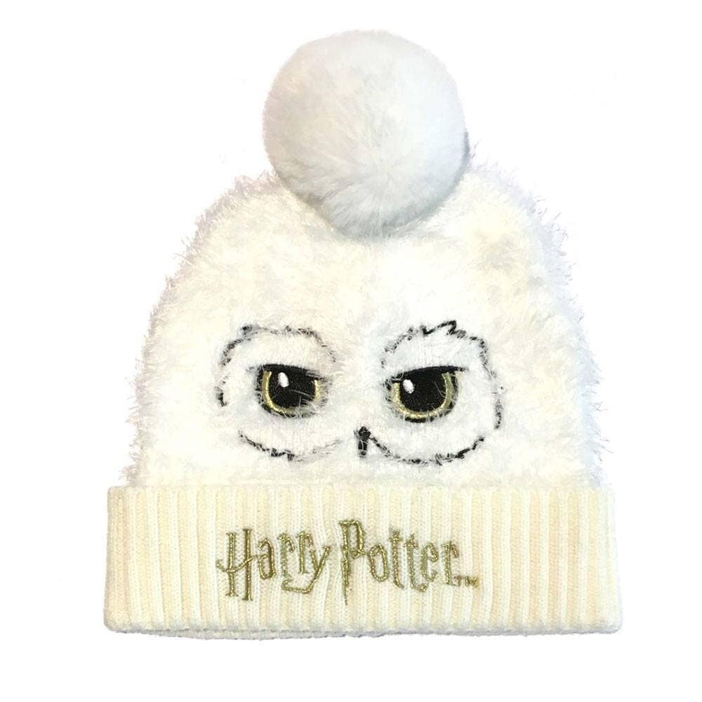 Harry Potter, Hue med kvast Hedwig
