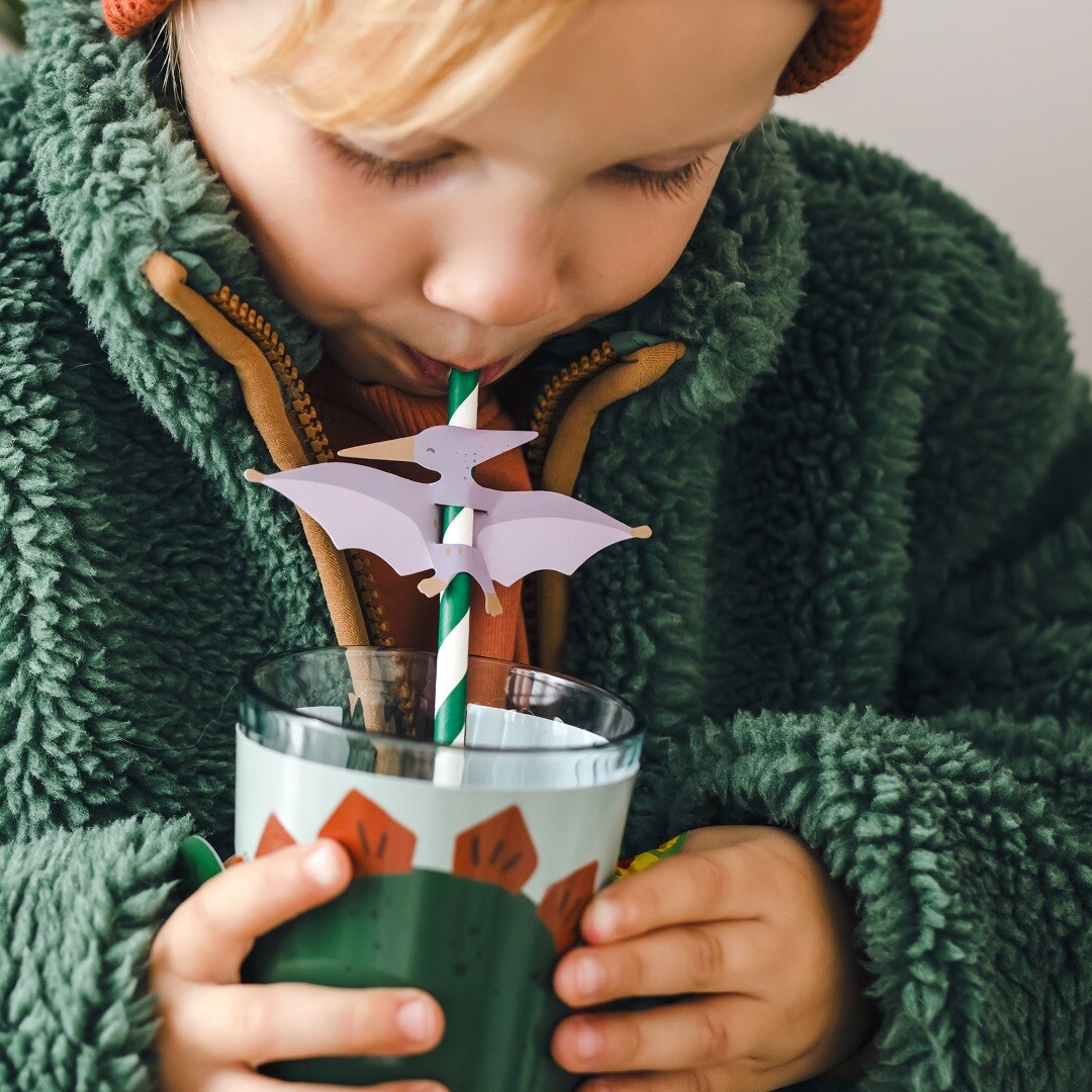 Dinosaur Pterodactyl - Papsugerør 6 stk