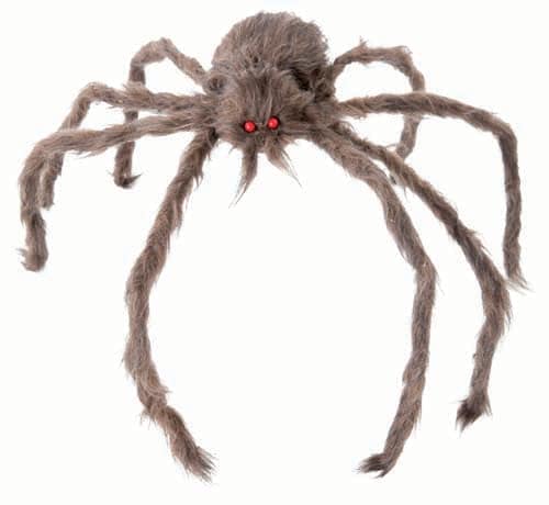 Behåret edderkop, Grå 60 cm