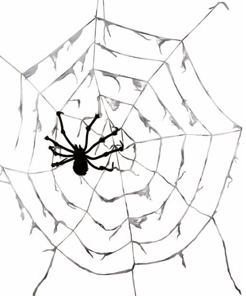 Gigantisk spindelvæv med edderkop