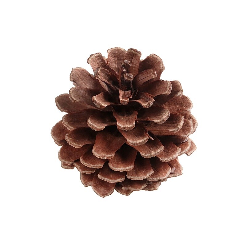 Juledekoration - Kogler 12 stk