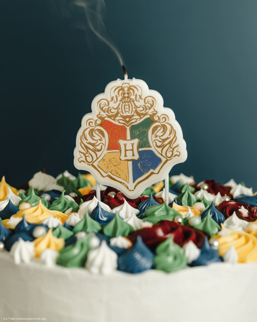Harry Potter Hogwarts Kagelys
