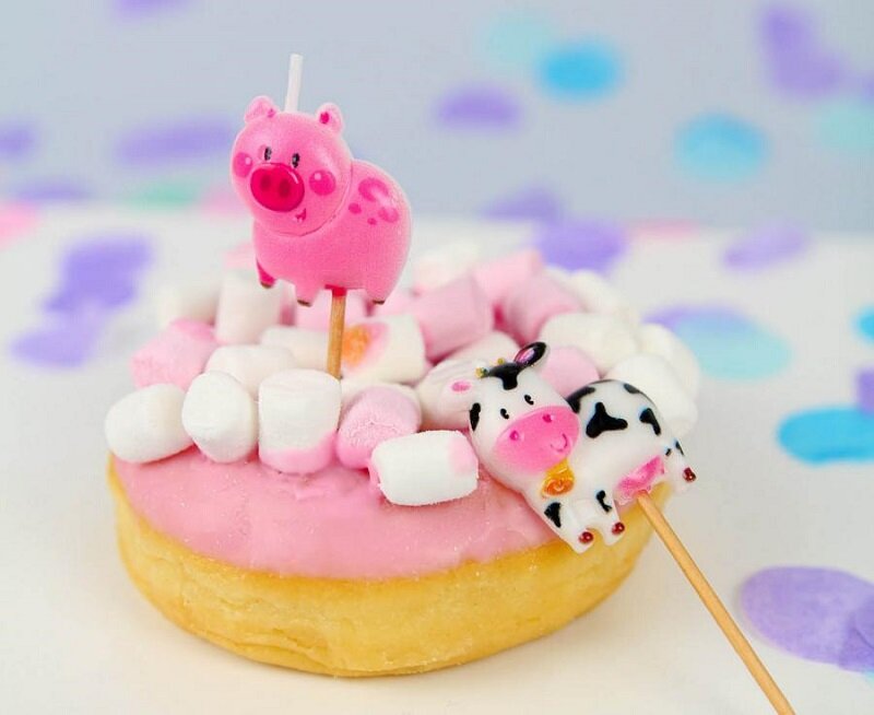 Kagelys Party Picks - Bondegårdsdyr 5 stk